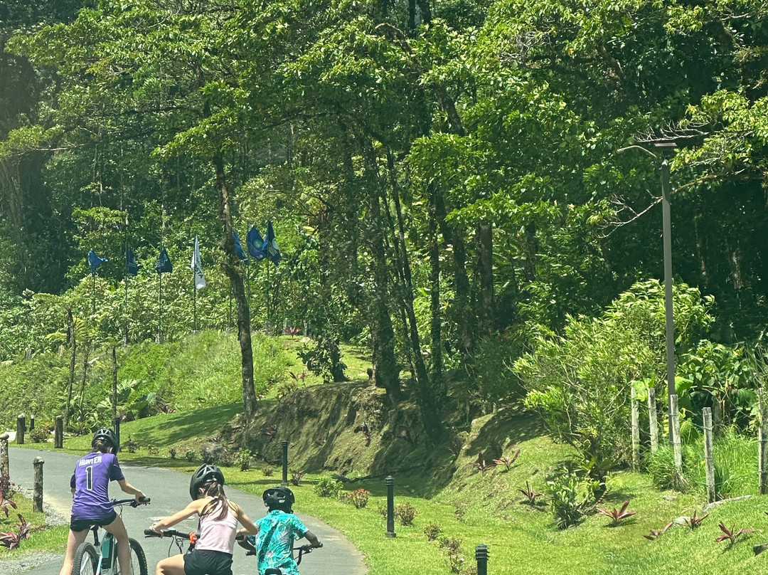 沉默温泉旅馆主图