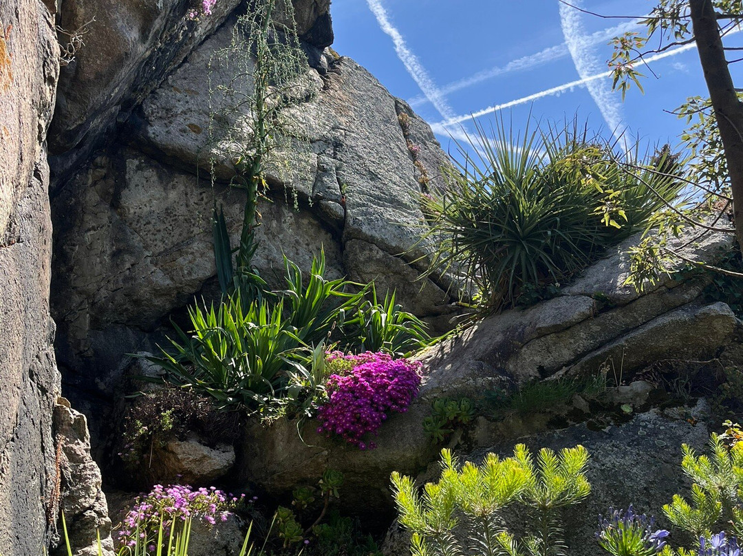 Jardin Exotique et Botanique de Roscoff-罗斯科夫必去景点