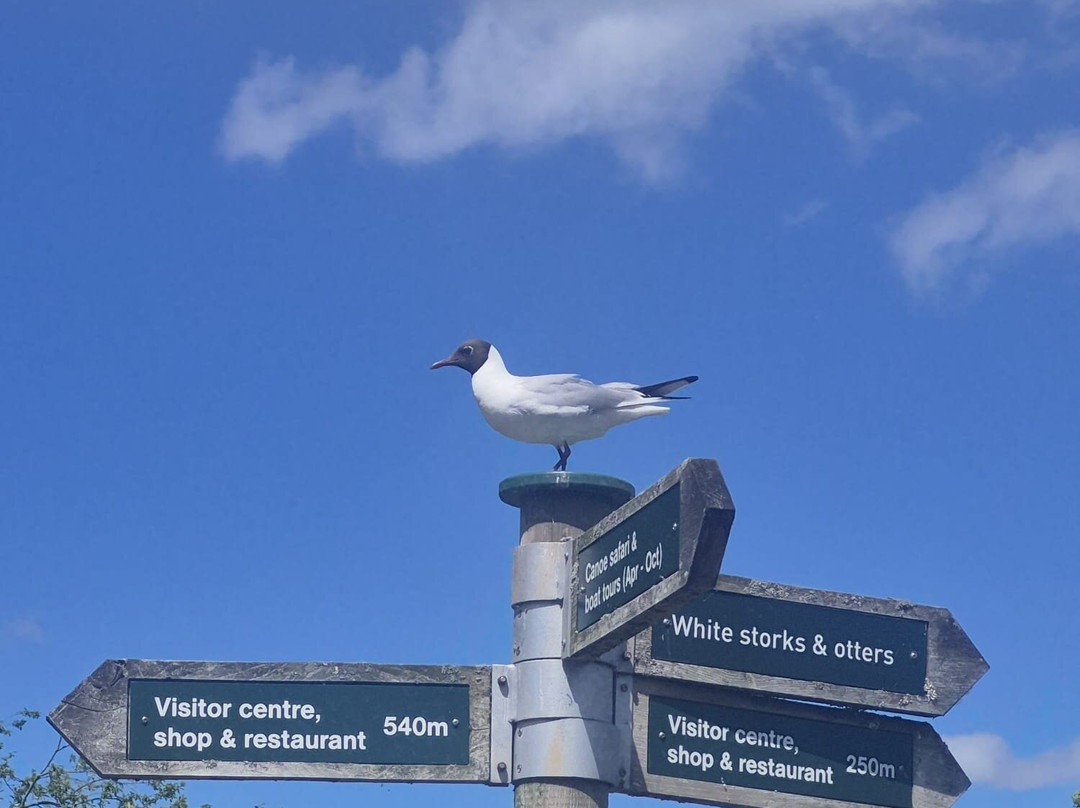 WWT Martin Mere Wetland Centre-Burscough必去景点