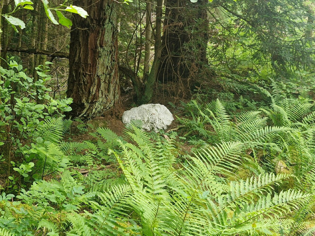 Glencoe Lochan-Glencoe Village必去景点