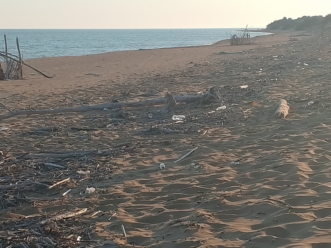 Issos Beach-Agios Georgios必去景点