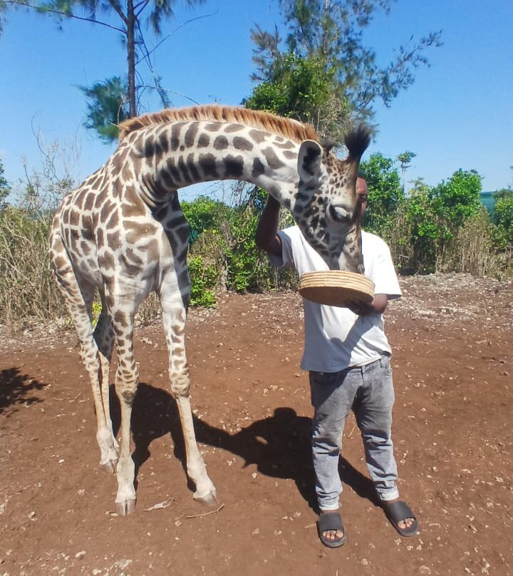 Triple J Zanzibar Tours And Transfers-桑给巴尔市必去景点