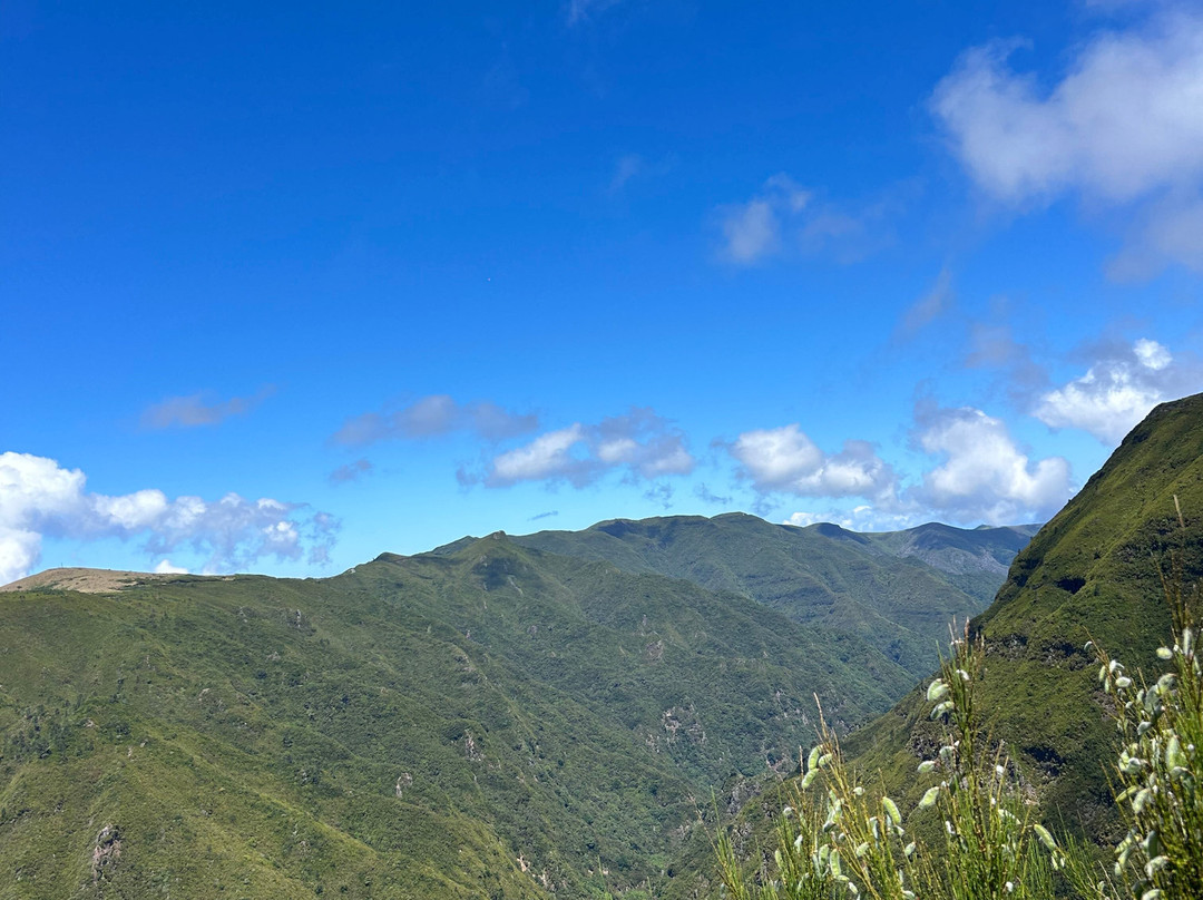 Madeira Wonder Hikes-沙尔必去景点