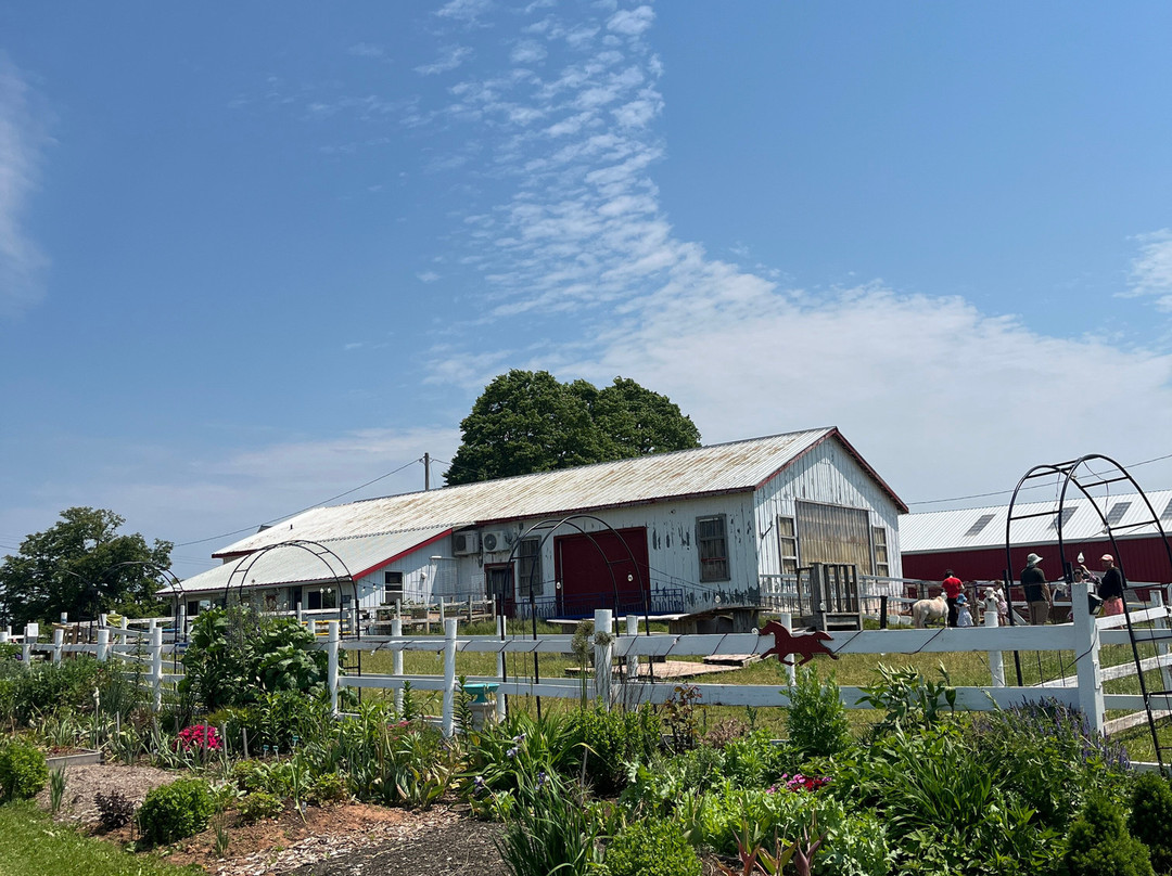 Island Hill Farm Inc-Hampshire必去景点