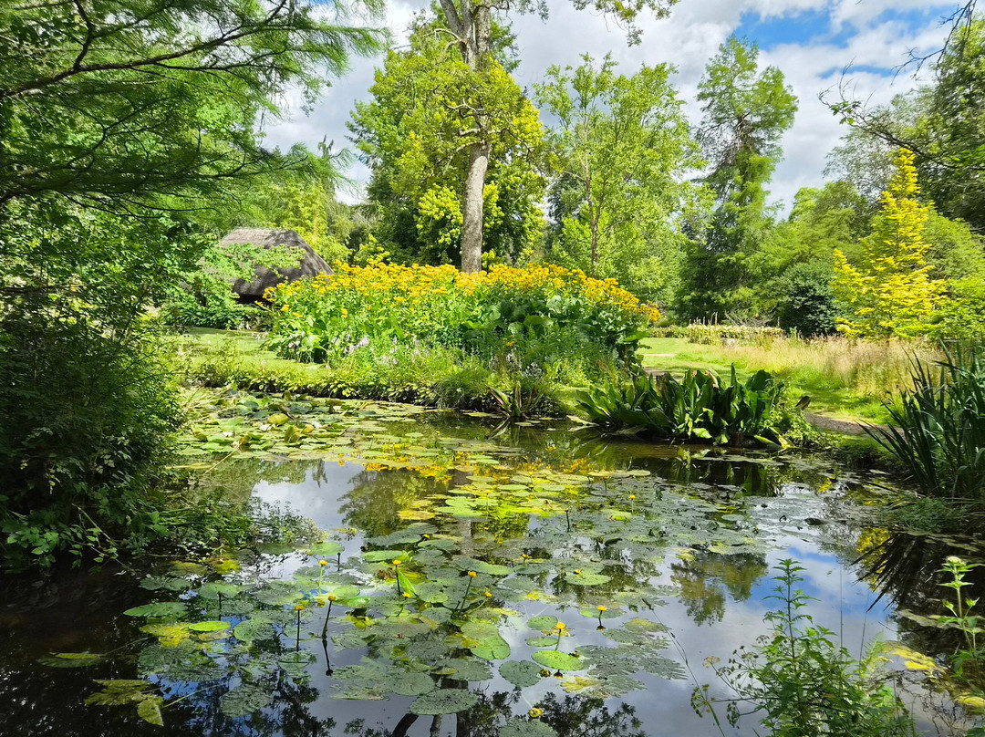 Longstock Water Gardens-Stockbridge必去景点