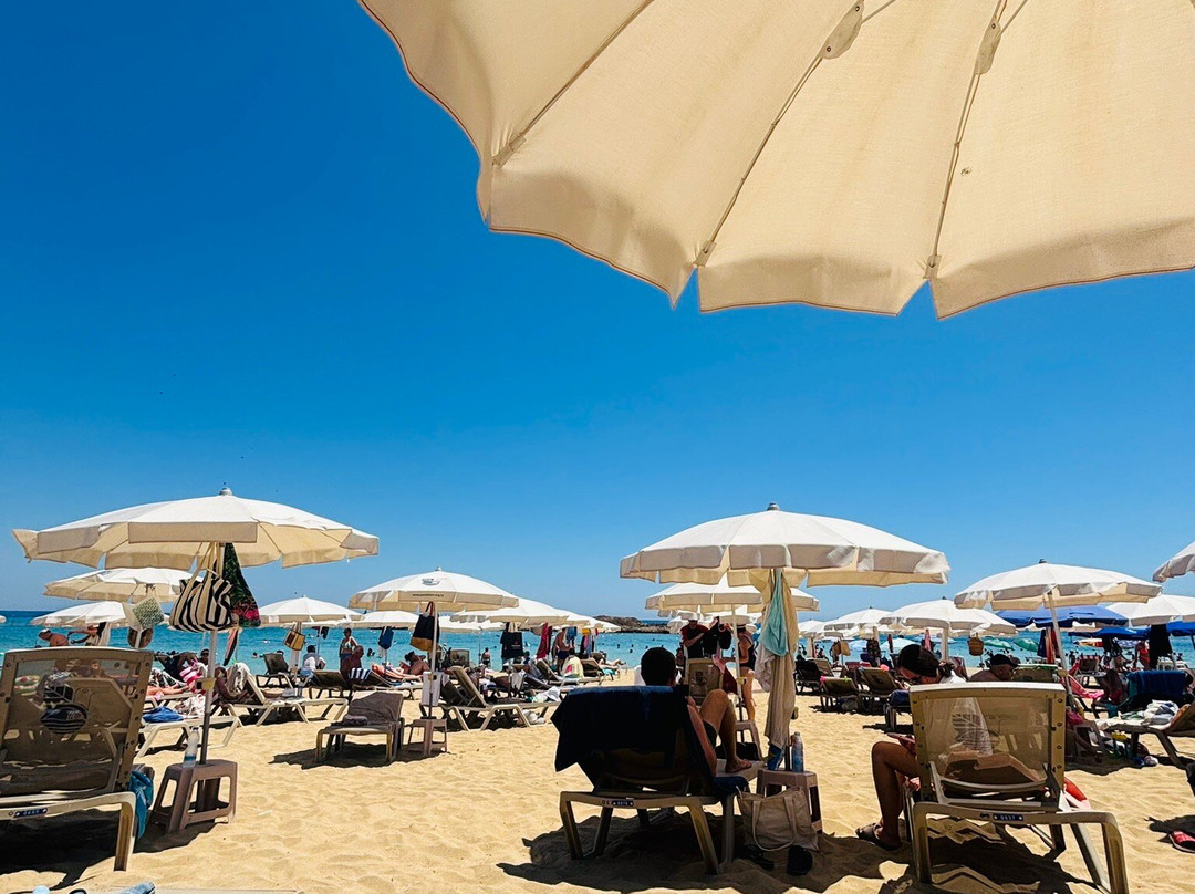 Fig Tree Bay Beach-普它肋斯必去景点