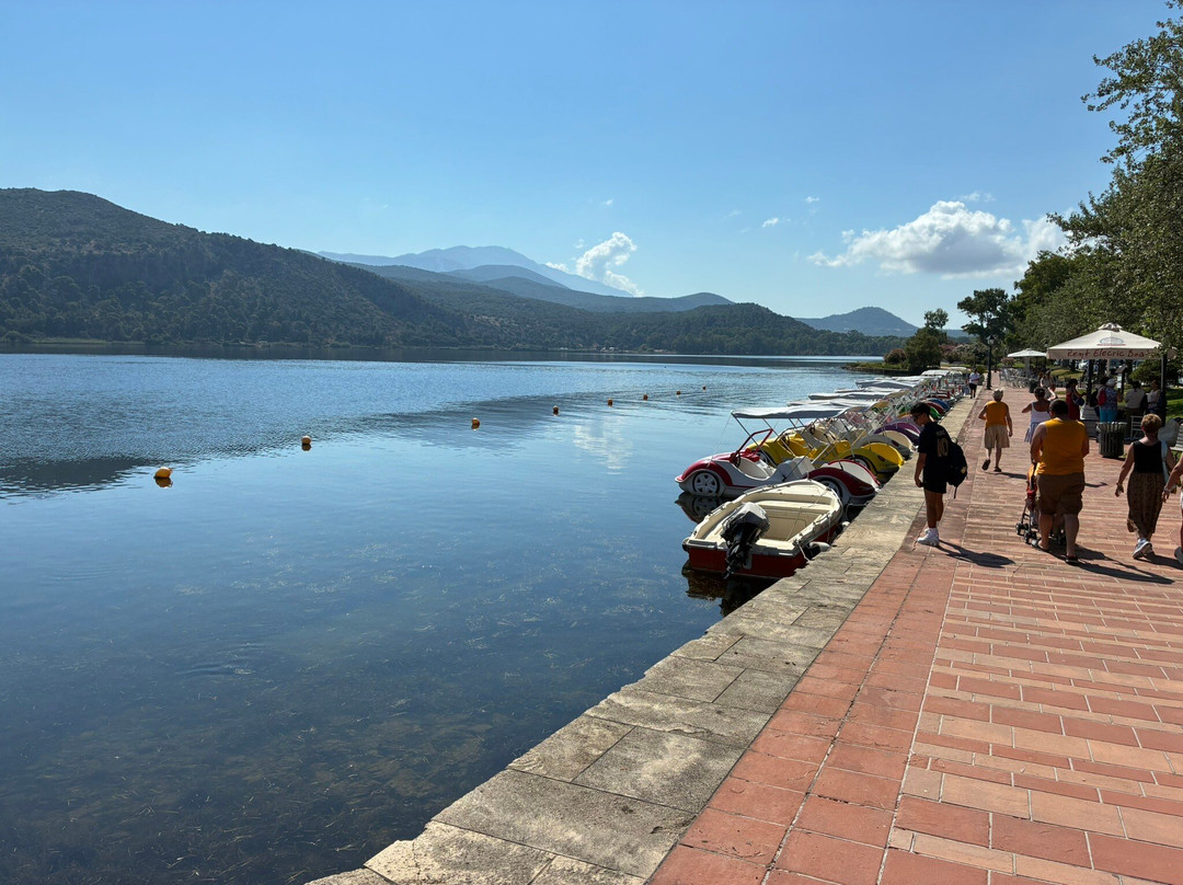 Argostoli Lagoon Activities-阿尔戈斯托利翁必去景点