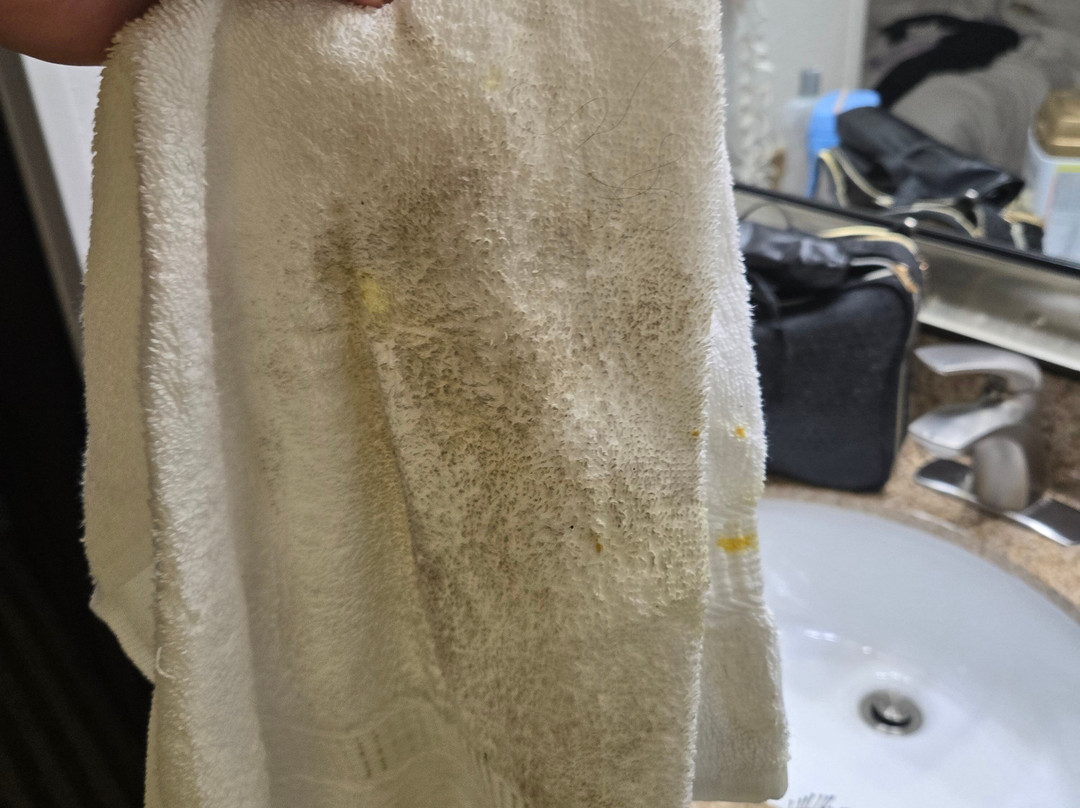 肯顿舒适酒店主图