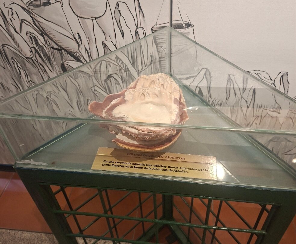 Museo Amantes de Sumpa-Santa Elena必去景点