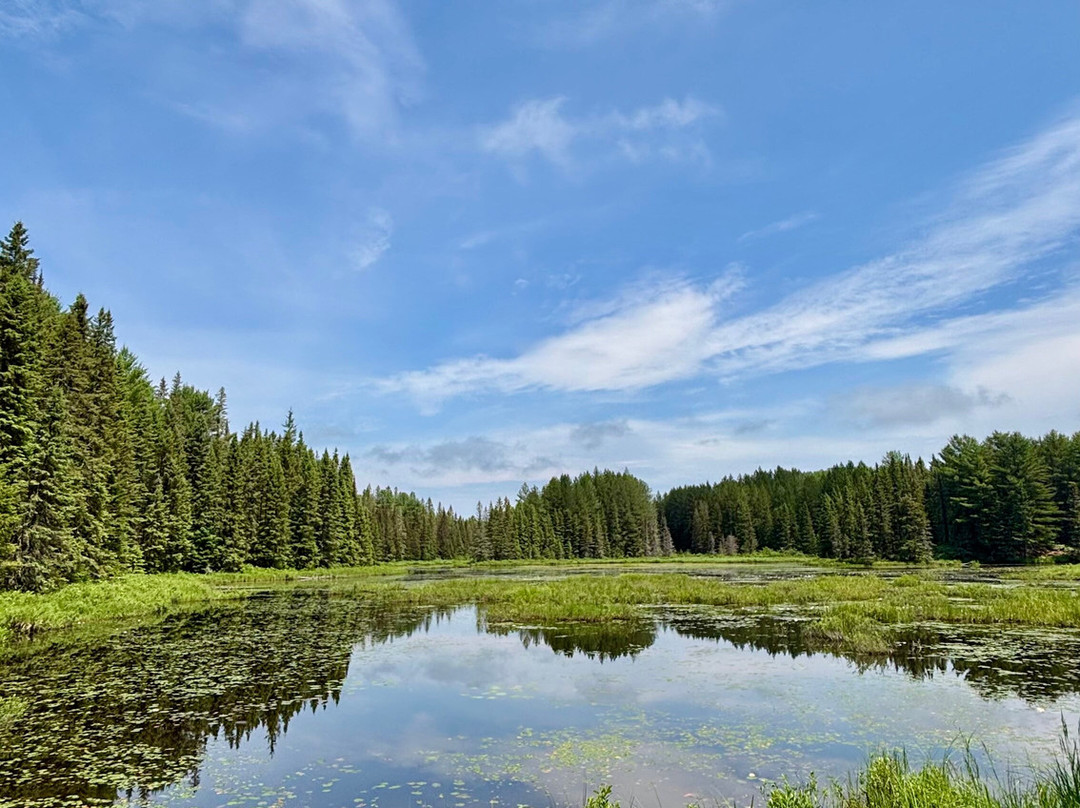 Algonquin Logging Museum-阿冈昆公园必去景点