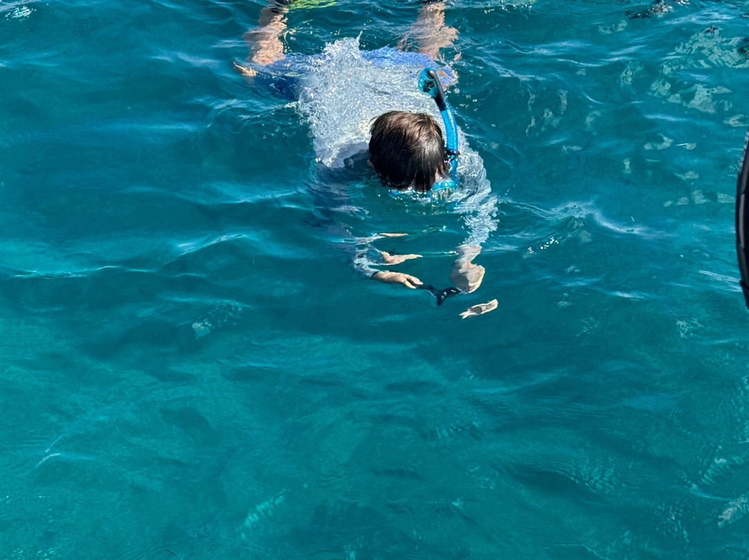 Neal Watson's Bimini Scuba Center-Alice Town必去景点