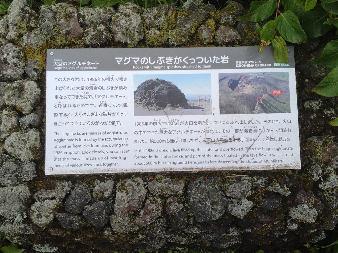 Mt. Mihara-大岛町必去景点