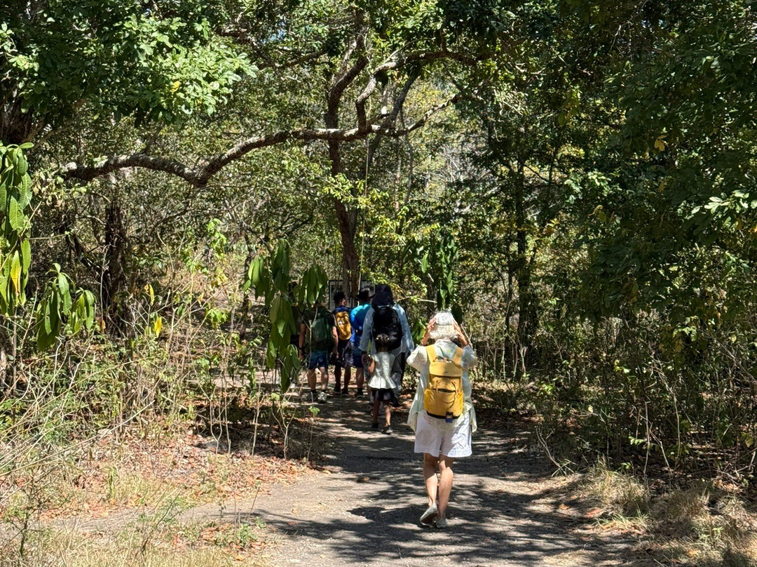 Komodo One Click Tours-Labuan Bajo必去景点
