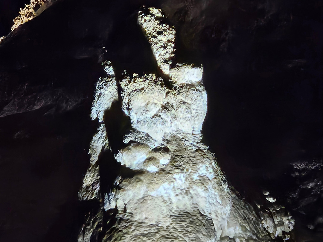 Carlsbad Caverns Natural Entrance Tour-卡尔斯巴德洞穴国家公园必去景点