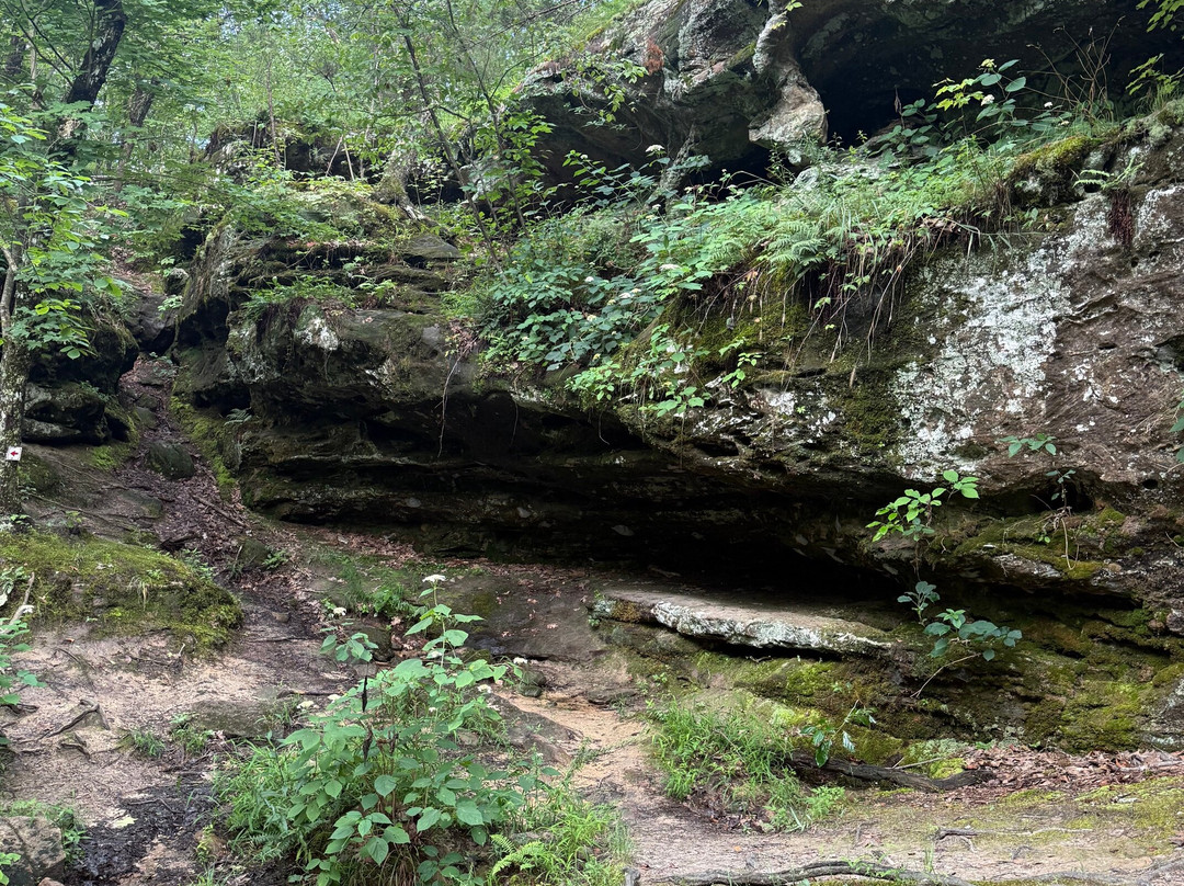 Pickle Springs Natural Area-Sainte Genevieve必去景点