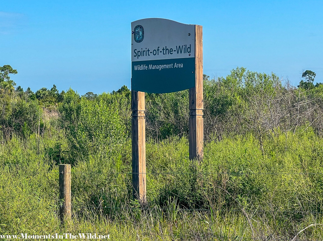 Spirit of the Wild Wildlife Management Area-Felda必去景点