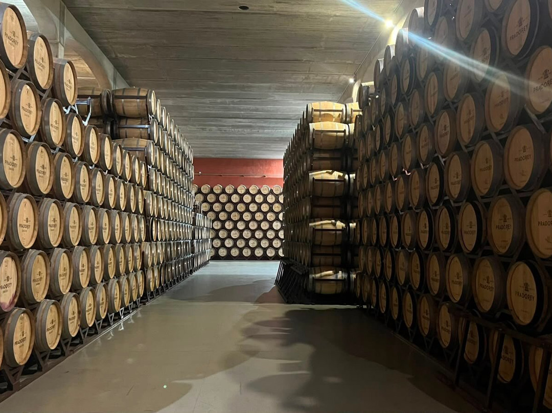 Bodegas Y Vinedos PradoRey-Gumiel Del Mercado必去景点