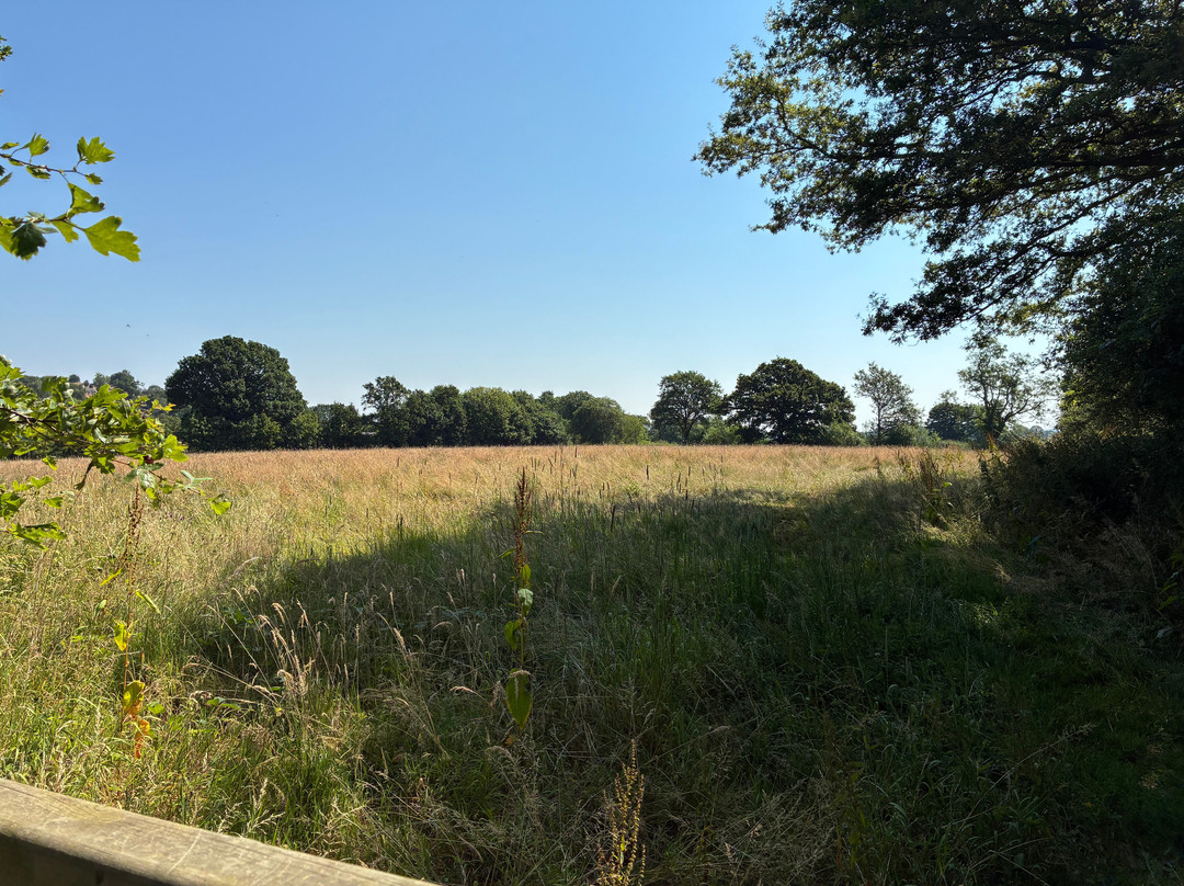 Ty Brith Nature Reserve