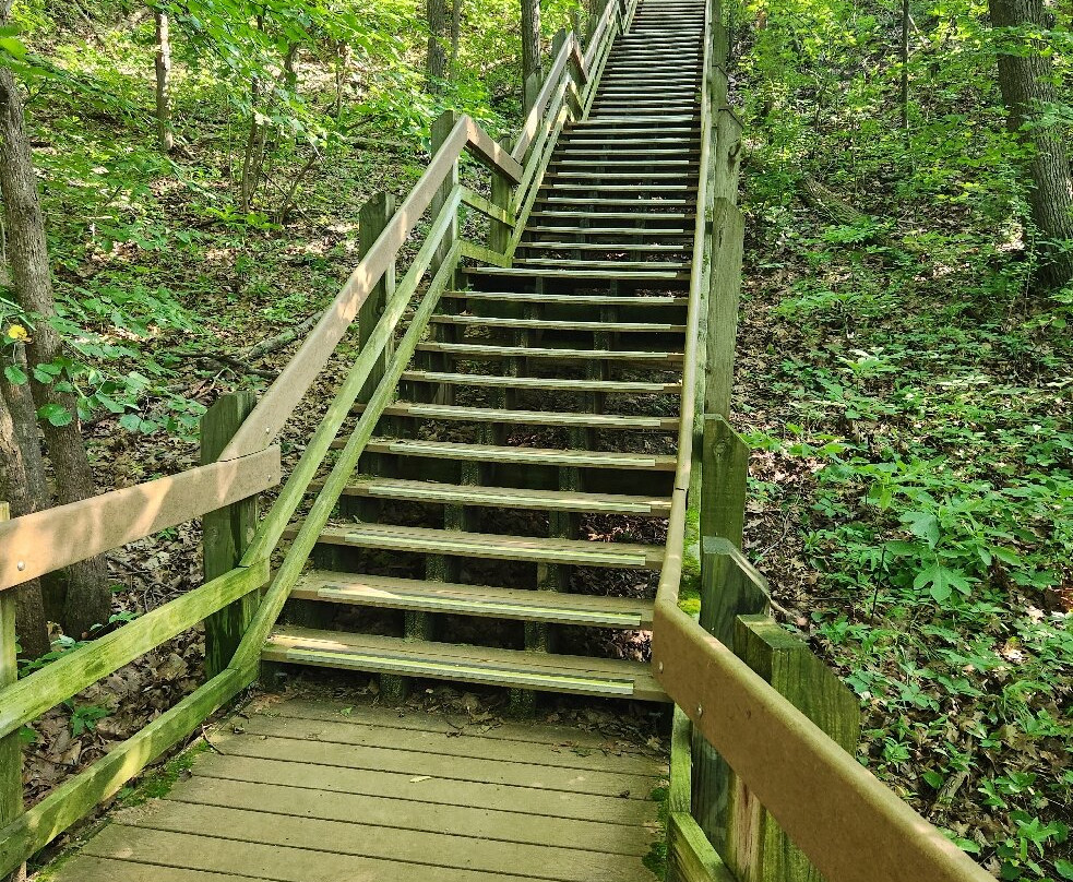 Dune Succession Trail-盖里必去景点