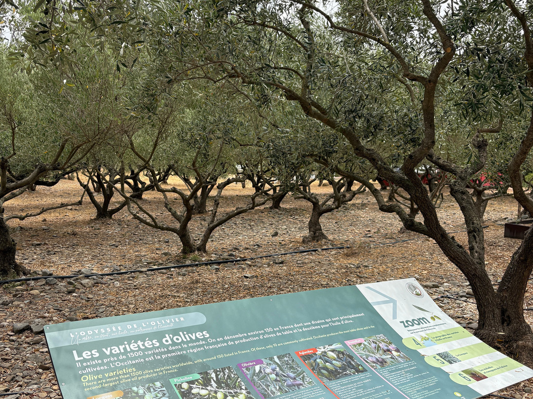 L'Oulibo-Bize-Minervois必去景点