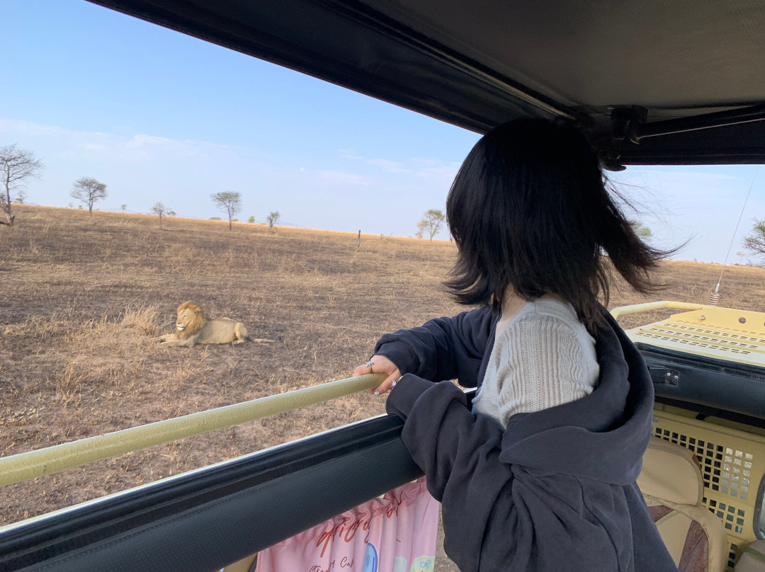 Meijo Safaris-阿鲁沙区必去景点