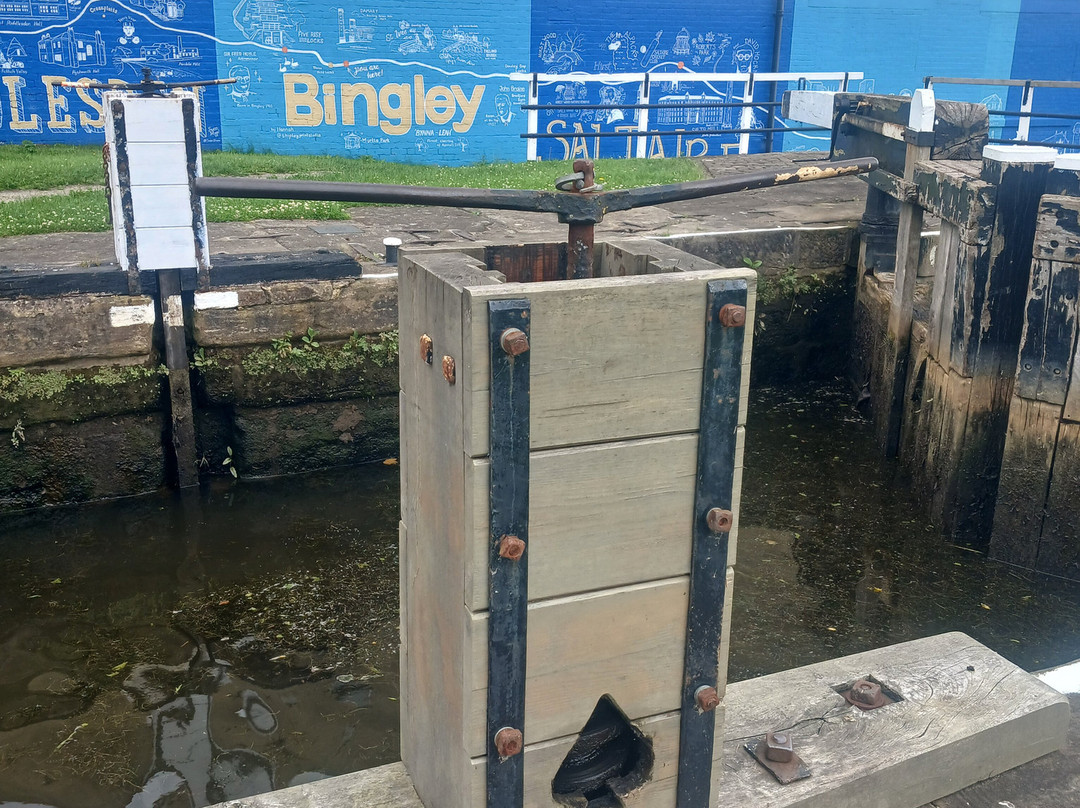Bingley Five Rise Locks-Bingley必去景点
