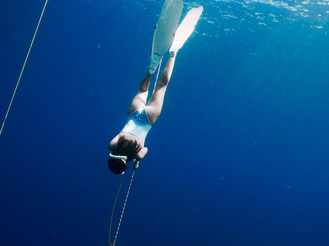 Ocean Bx Freediving-Mati必去景点