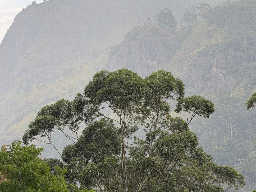 Compass Lanka Tours-Yakkala必去景点