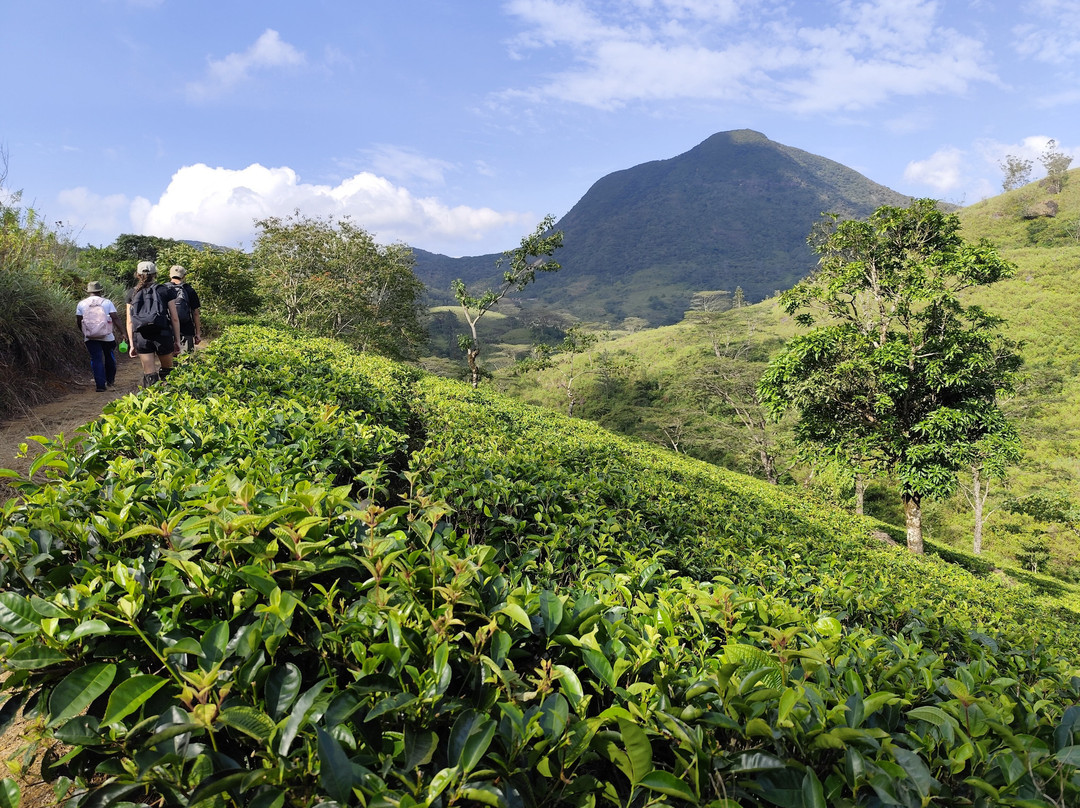 Sri Lanka Trekking-康提必去景点
