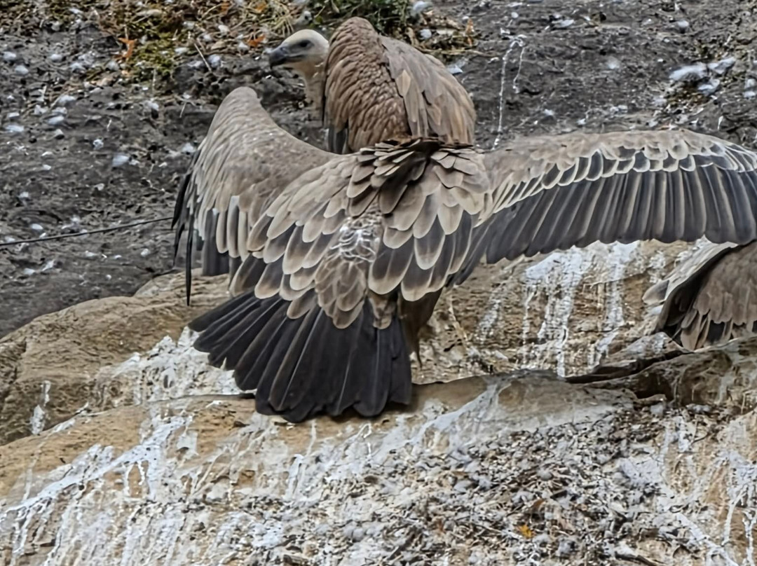 Domaine Des Grottes De Han-Han-sur-Lesse必去景点