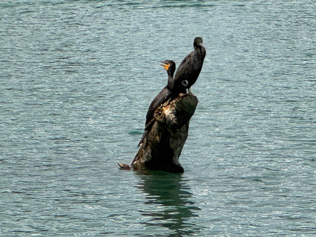 Inglewood Bird Sanctuary and Nature Centre-卡尔加里必去景点