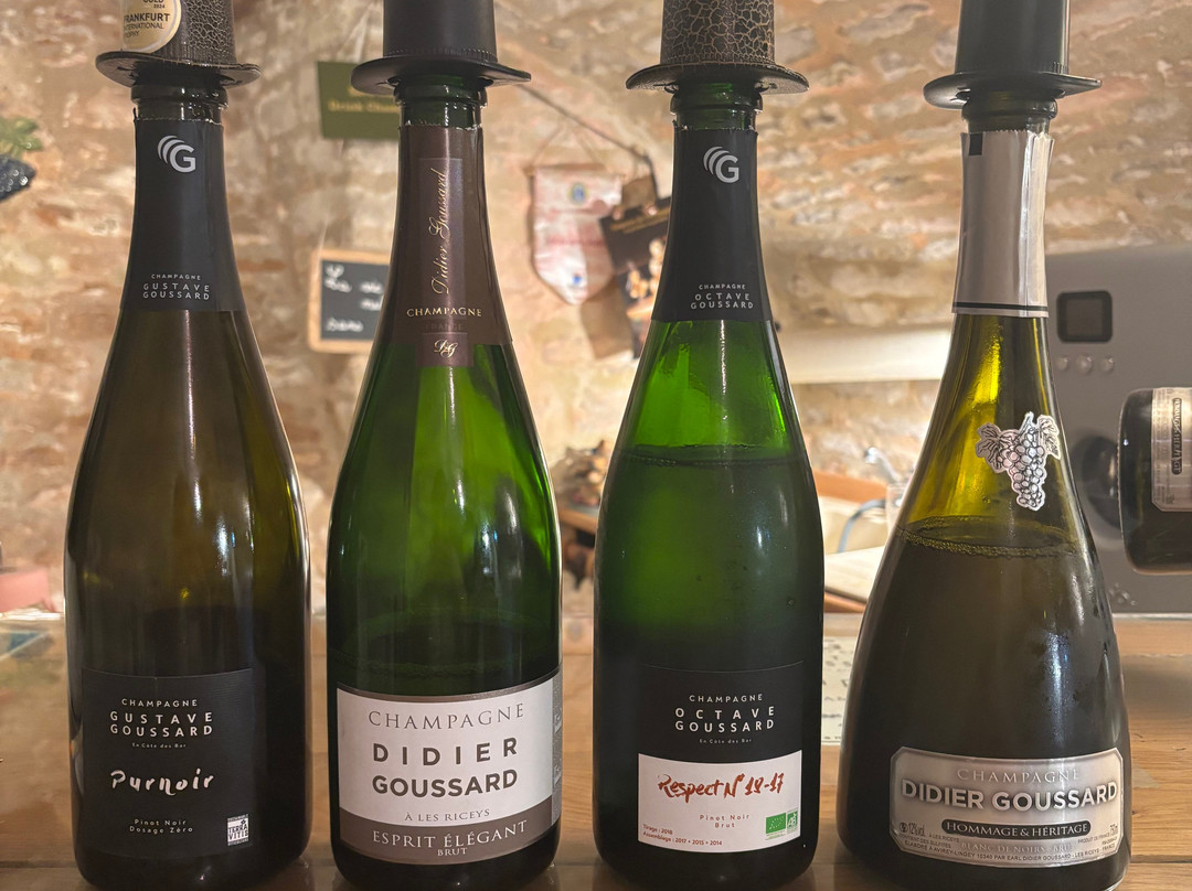 Champagne Didier Goussard-Les Riceys必去景点