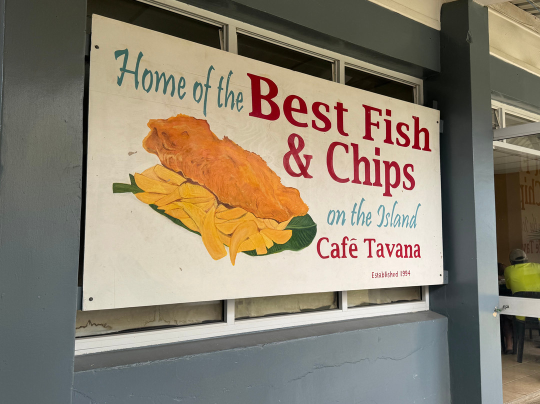 Tavanas