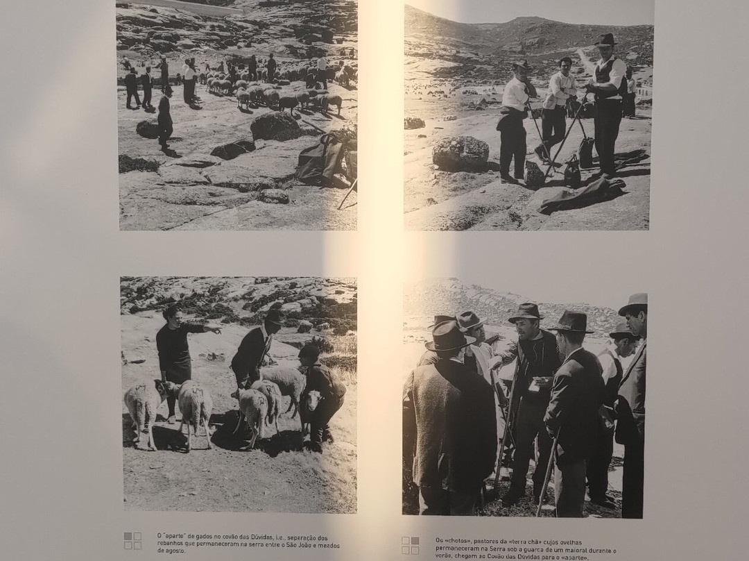 Centro de Interpretação da Serra da Estrela-Seia必去景点