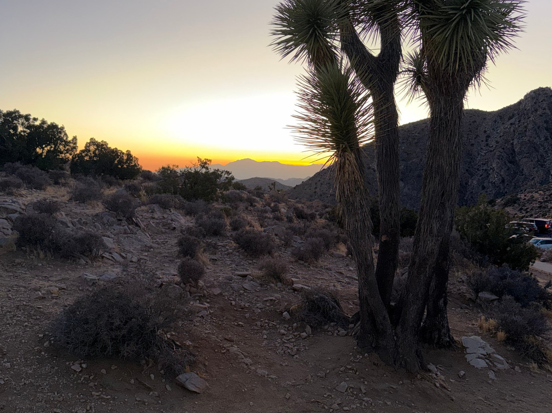 Joshua Tree National Park-约书亚树必去景点