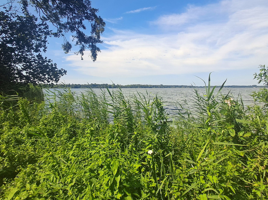 Aussichtsplattform Am Bad Zwischenahner Meer-Bad Zwischenahn必去景点