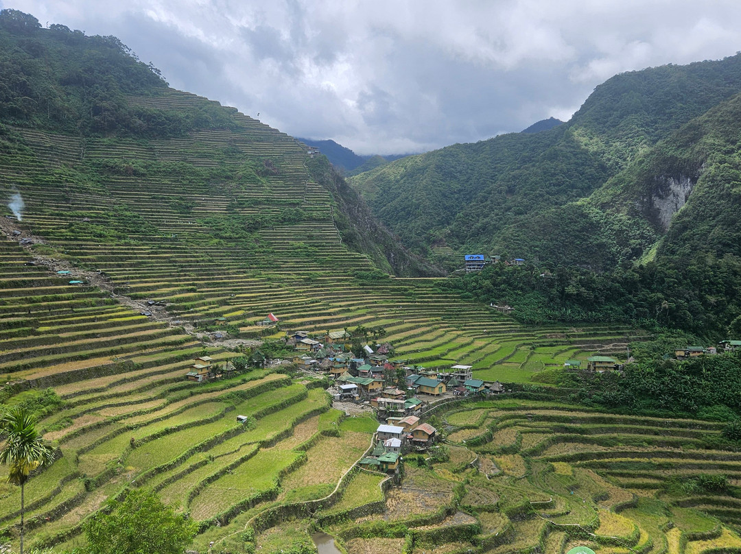 巴拿威梯田-Banaue必去景点