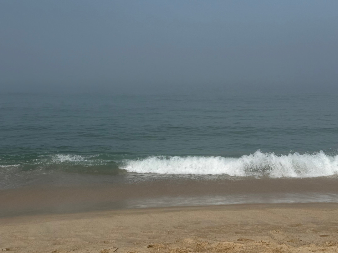 Praia da Nazare-纳扎雷必去景点