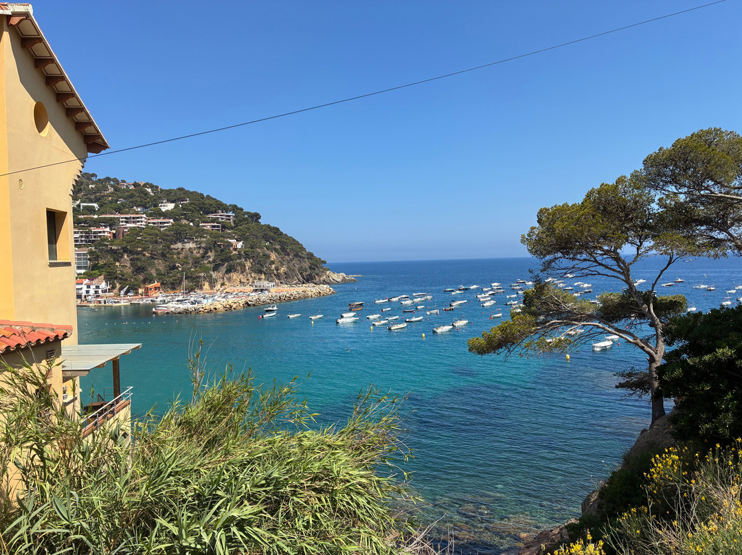 Playa De Llafranc-Llafranc必去景点
