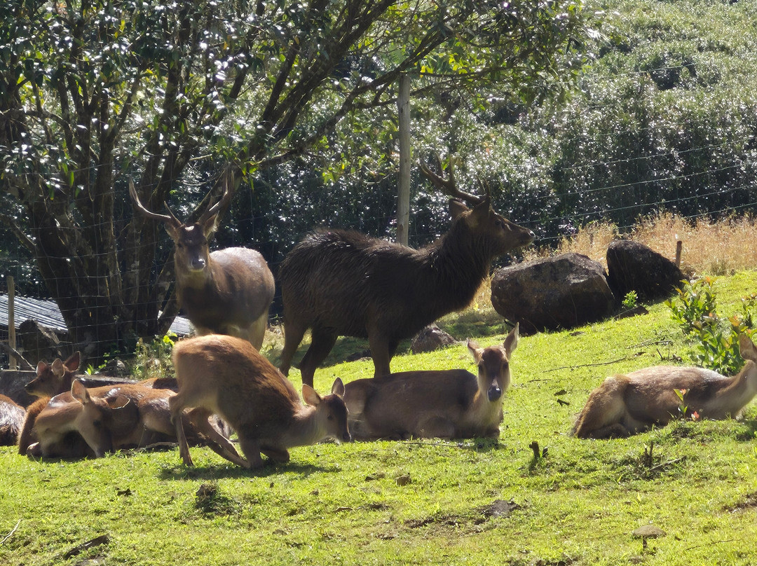 Vallé Advenature Park-Chamouny必去景点