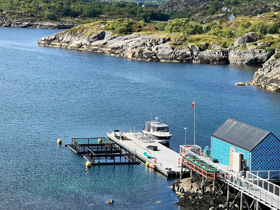 The Lofoten Aquarium-Kabelvag必去景点
