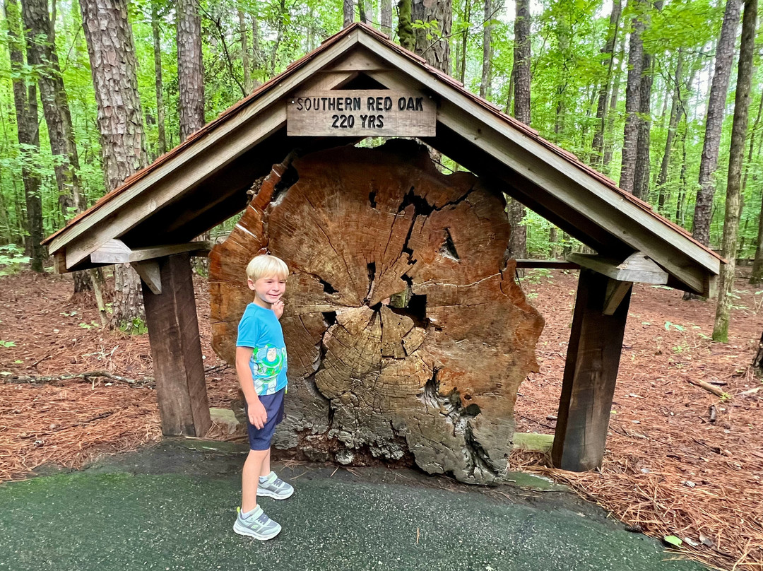 Clemmons Educational State Forest-Clayton必去景点