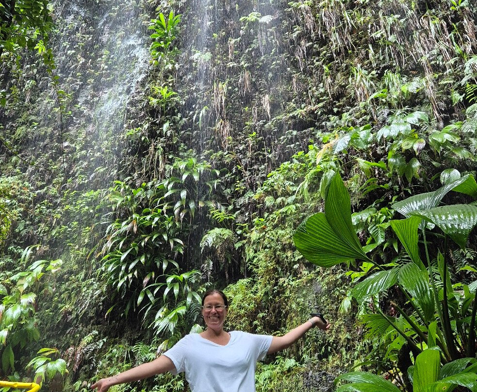 Jacko Falls-Morne Trois Pitons National Park必去景点