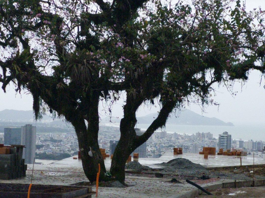 Morro da Cruz-Itajai必去景点