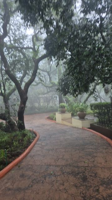 麦哈巴勒莎瓦艾美水疗度假村-旅行者