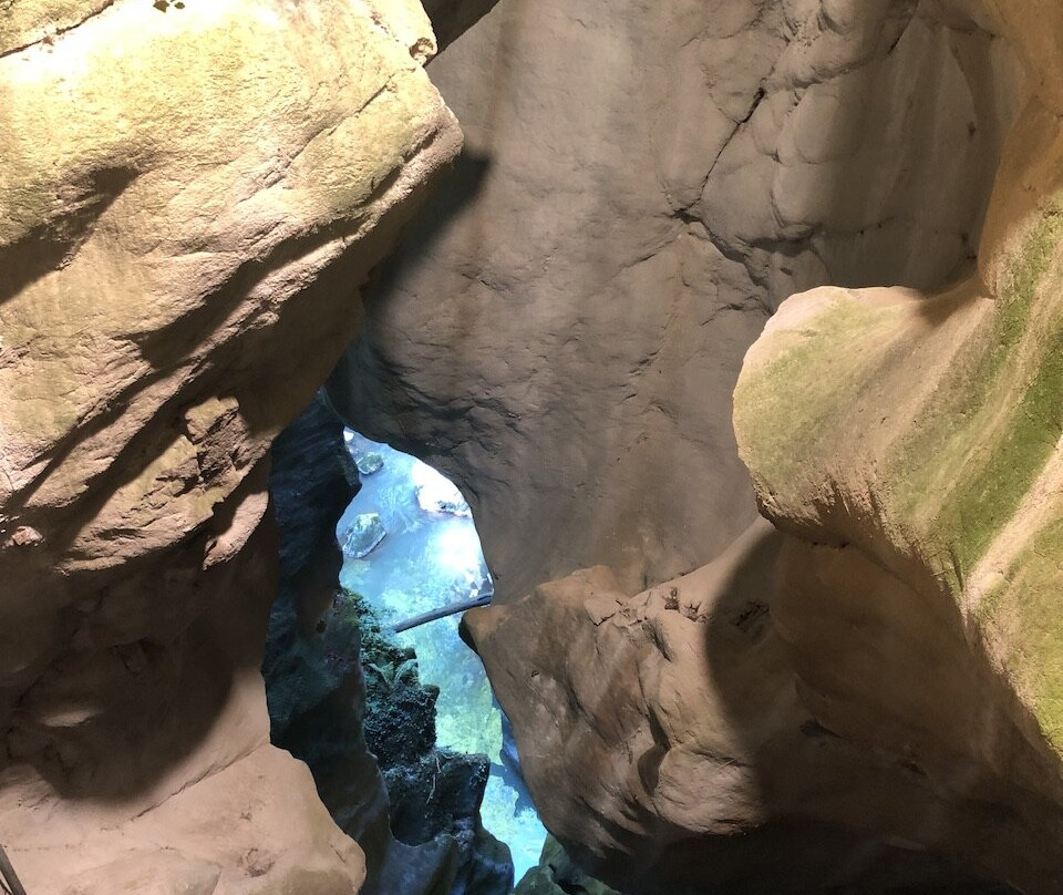 Gorges du Pont du Diable-La Vernaz必去景点