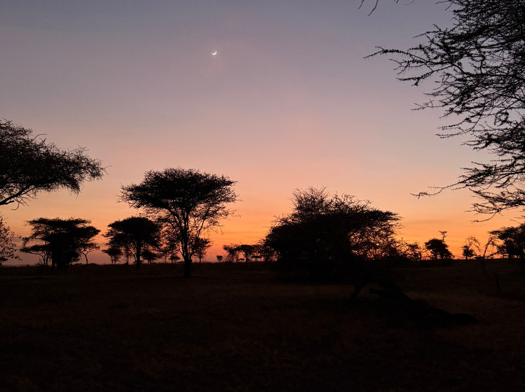 Tanzania-Experience-阿鲁沙必去景点