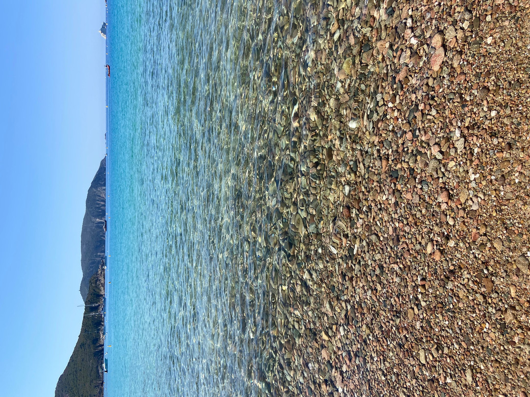 Plage d'Arone-Piana必去景点