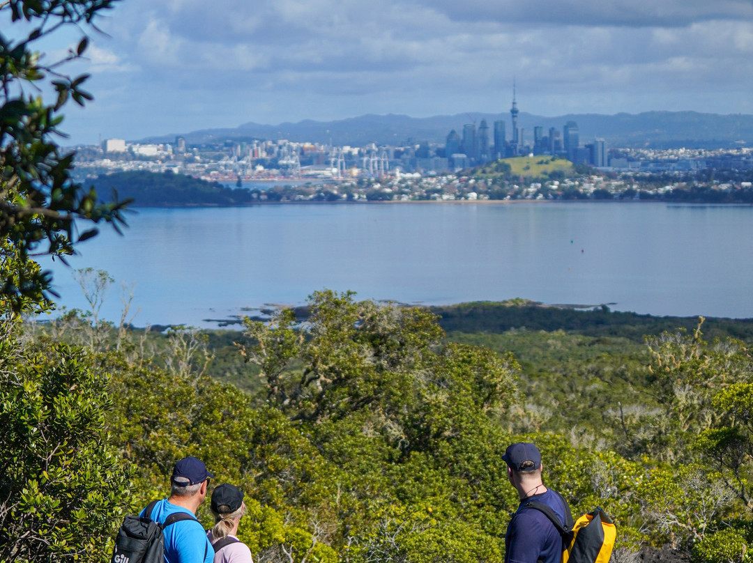 Auckland Sea Kayaks-奥克兰中心地区必去景点
