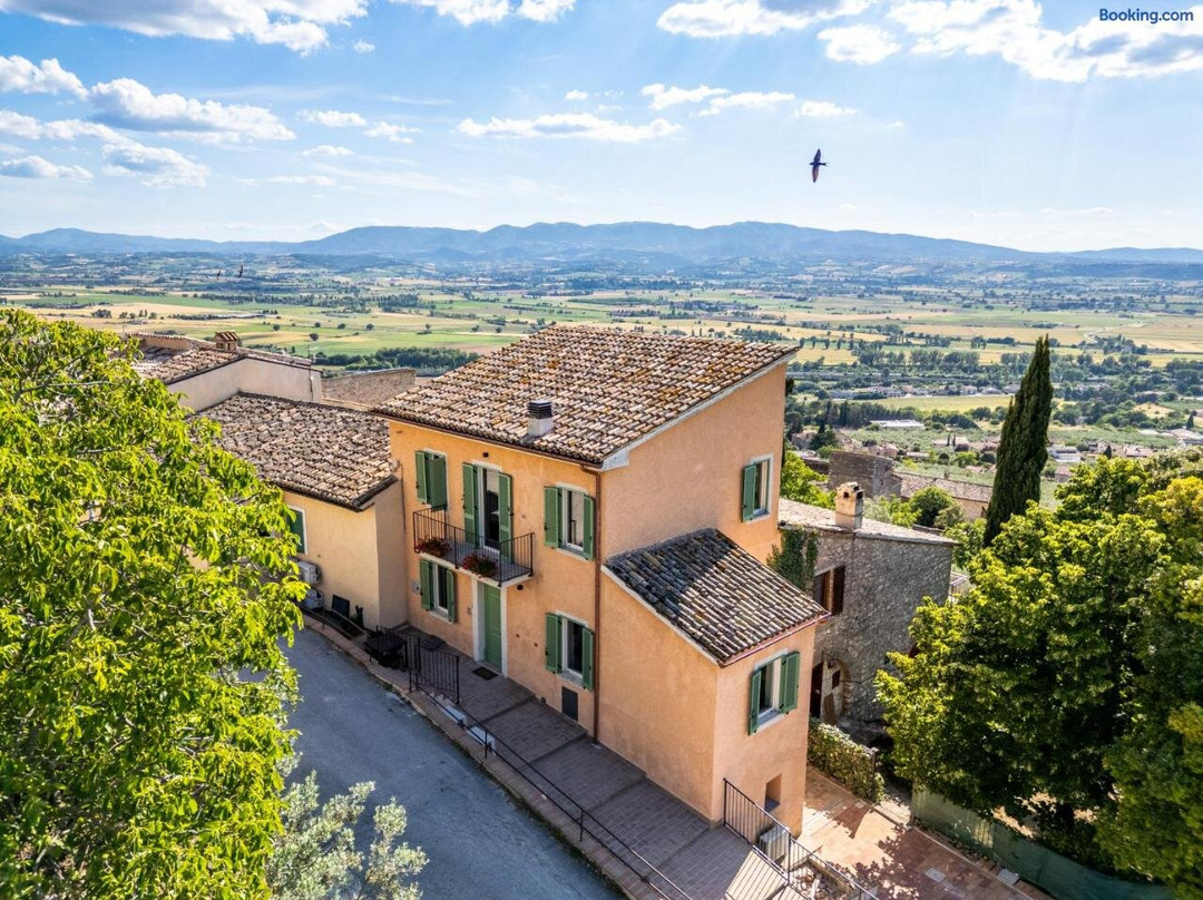 Agriturismo Terra d'Olivo